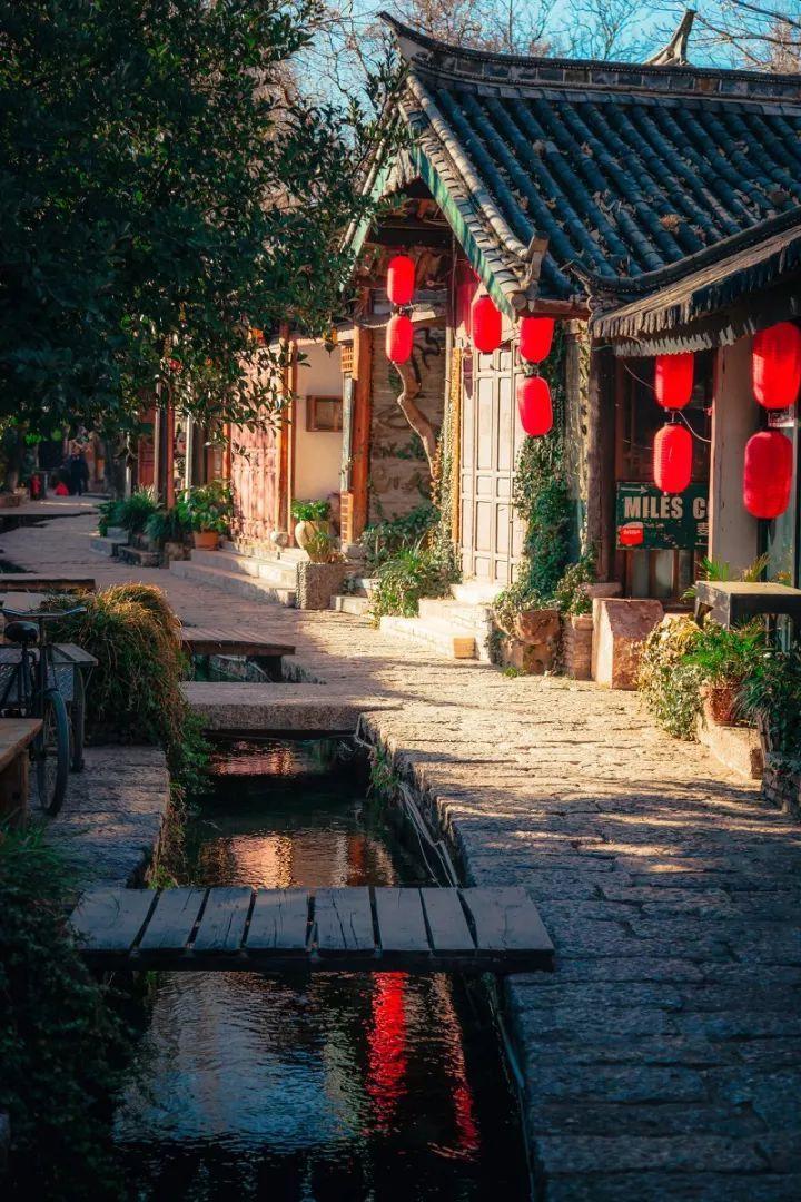 10个孩子8个试管!马斯克为何如此钟情于试管造娃